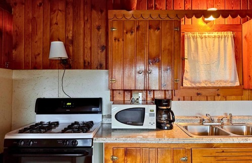 Trout Lake Cabin | 2-bedroom Lakefront Cabin #1 in Trout Lake, MI. Row boat & campfires included.