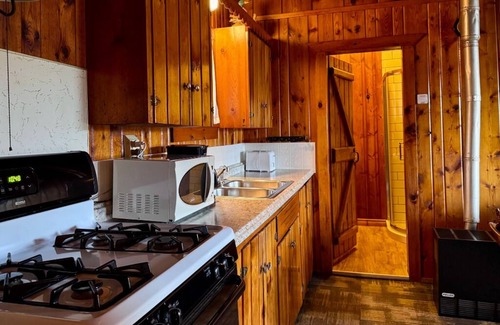 Trout Lake Cabin | 2-bedroom Lakefront Cabin #1 in Trout Lake, MI. Row boat & campfires included.