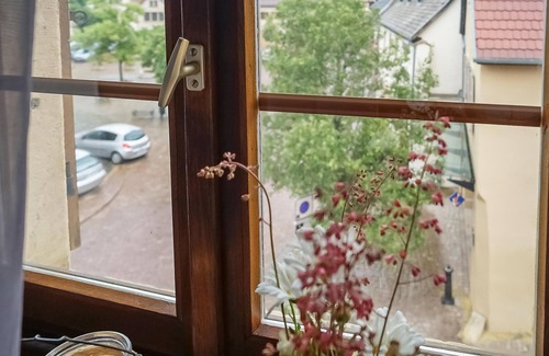 Rouffach Apartment | 2 bedroom lovely apartment in Rouffach