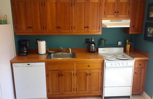 Glendale Apartment | 2 bedroom Riverhouse in the Heart of the Berkshires! Summer & winter coziness!