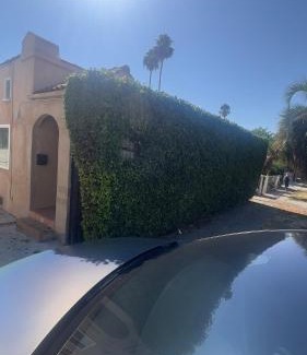 Hollywood Apartment | 2 Bedroom Tulum Oasis in Hollywood