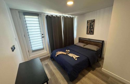 Longue-Pointe Apartment | 2 bedrooms near Hochelaga area - D907