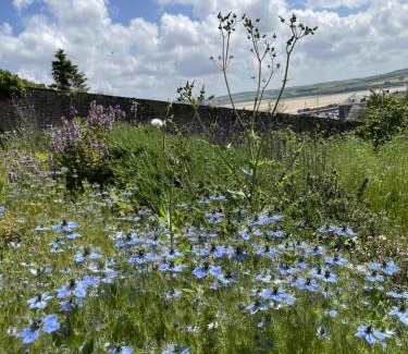 Little Petherick House | 2 Bedrooms overlooking Little Petherick Creek