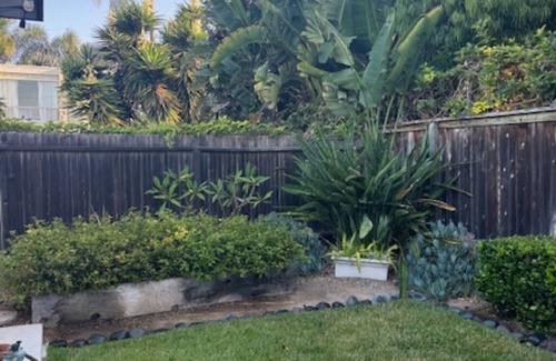 Leucadia Condo | 2 br/2ba near Ocean. Redecorated & fully furnished with kitchen gear and linens.