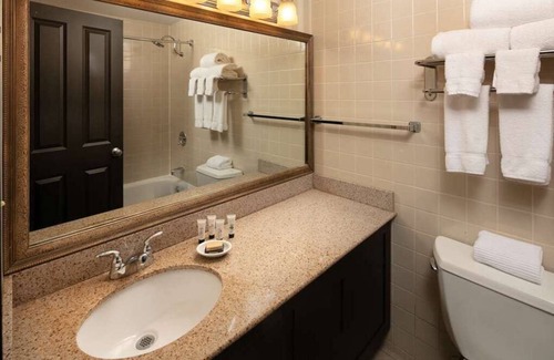 West Bellevue House | 2 Comfortable Units! A quick drive away from Downtown Bellevue! Pets Allowed!
