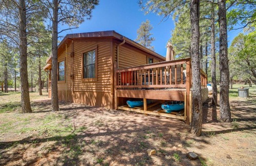 Happy Jack House | 2 Decks, Grill and Wooded Views Happy Jack Cabin