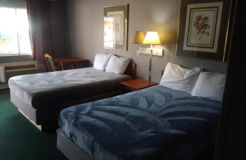 Livingston Apartment | 2 Double Beds Hotel Studio 135