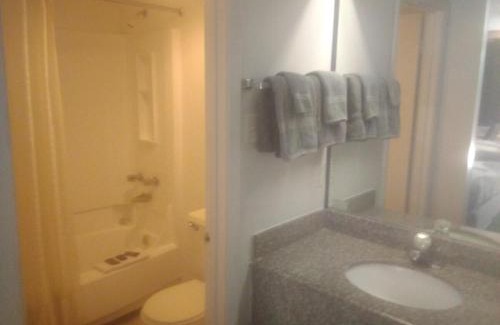 Livingston Apartment | 2 Double Beds Hotel Studio 135