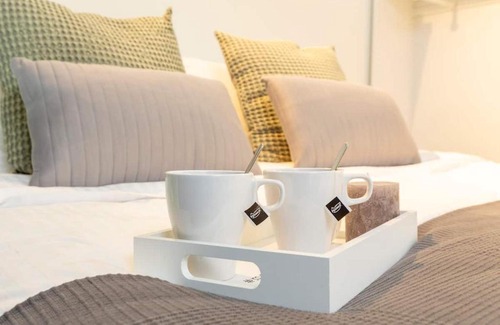Delft Apartment | 2 Double floor Delft City Centre Family Long-Stay