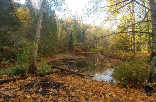 Sardis Cabin | #2 Eco Retreat Cabin! Fish/Bring Horses/ATV/Kayak!