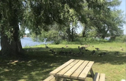 Brighton Cottage | #2 Family and pet friendly - monthly/seasonal rental