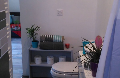 Nieul-sur-Mer Apartment | 2* furnished studio - La Maison aux Mille Roses