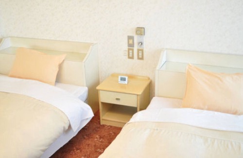 Okazaki Hotel | 2 large twin beds/Okazaki Aichi