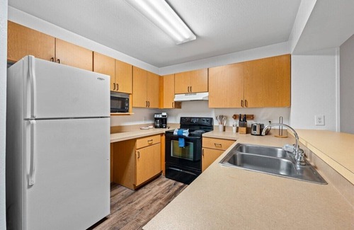 Bearss Plaza Apartment | 2 MI to USF + Long Term Stays allowed + Gym + Pool