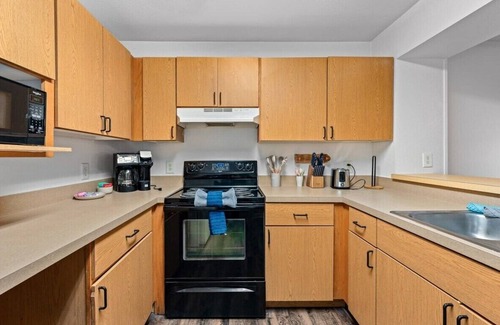 Bearss Plaza Apartment | 2 MI to USF + Long Term Stays allowed + Gym + Pool