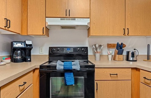 Bearss Plaza Apartment | 2 MI to USF Student Housing 24H Gym
