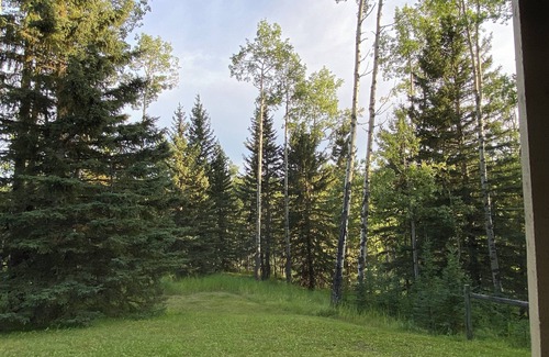 Bragg Creek House | 2 Min to Kananaskis! Beautifully Furnished 1640 sq ft Lower Suite on Acreage.