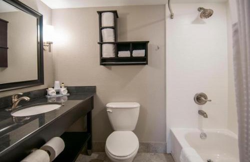 Jackson Apartment | 2 Queen Beds Hotel Room 242