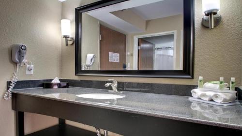 Jackson Apartment | 2 Queen Beds Hotel Room 242