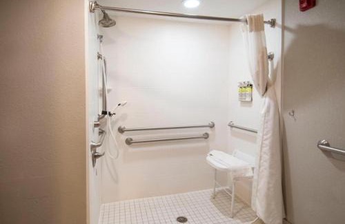 Jackson Apartment | 2 Queen Beds Hotel Room 242