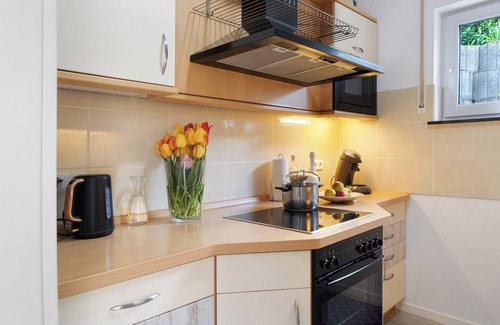 Munzingen Apartment | 2-Room Apartment with Kitchen and Terrace