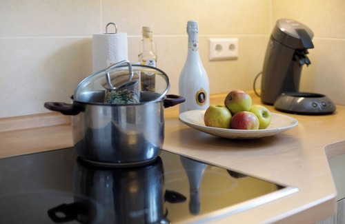 Munzingen Apartment | 2-Room Apartment with Kitchen and Terrace