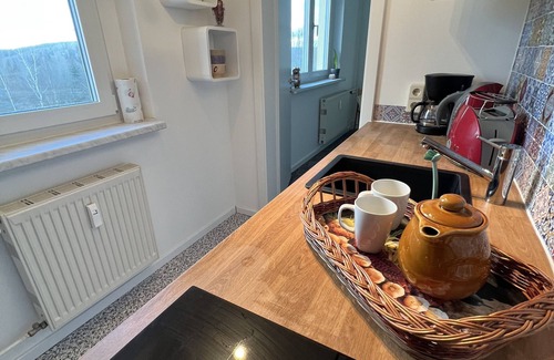 Schellerhau Apartment | 2-room apartment Schellerhau with access to the cross-country ski run and toboggan slope