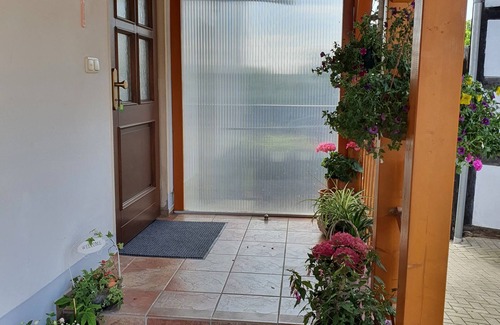 Regis-Breitingen Apartment | 2 rooms kitchen bathroom up to four persons