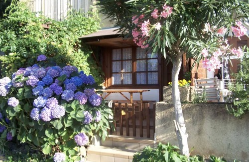 Calenzana Apartment | 2 rooms with pool near Calvi