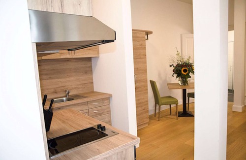 Heidelberg City Centre Apartment | 2 Studios-apartment with shared terrace