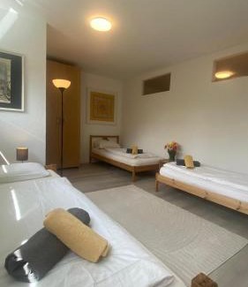 Munzingen Apartment | 2 Zimmer Apartment, Küche u Terrasse in Freiburg