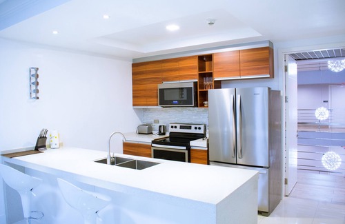 Saint Andrew Hotel | 20 South Kingston Luxury Apartment