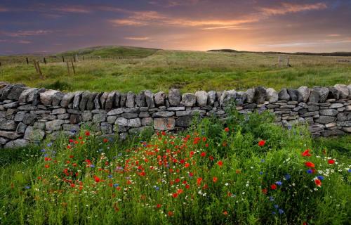 Isle of Lewis House | 21 Callanish Luxury Pod