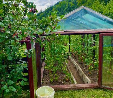 gmina Kamienica Bed & Breakfast | 21 m² Bed and breakfast ∙ 5 guests