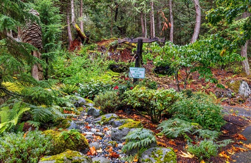 Anacortes Cabin | 22,000SF Luxury Lodge w/Indoor Pool on 40+ secluded acres!
