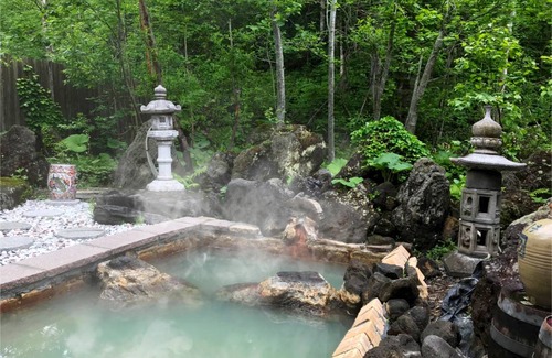 Shirogane Onsen Hotel | 24 m² Hotel ∙ 1 bedroom ∙ 2 guests