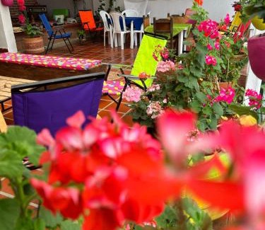 Cacota House | 2460 Hostal Café Bar Glamping