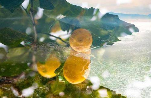 Ravello Bed & Breakfast | 25 m² Bed and breakfast ∙ 2 guests
