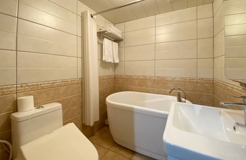 Shirogane Onsen Hotel | 25 m² Hotel ∙ 1 bedroom ∙ 2 guests