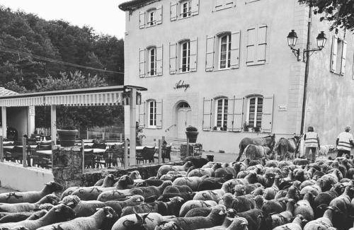 Le Bourguet Hotel | 25 m² Hotel ∙ 4 guests