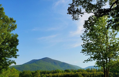 Danby House | 25 mins to skiing - Experience the Alpaca Life in Beautiful Danby, VT