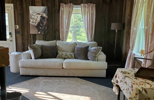 Danby House | 25 mins to skiing - Experience the Alpaca Life in Beautiful Danby, VT