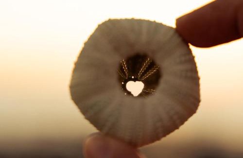 Shelley Point Villa | 25 on First