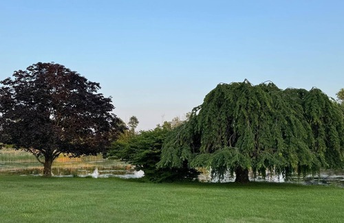 Johnsonburg House | 250 Acres of Refined Serenity for Bespoke Events & Gatherings
