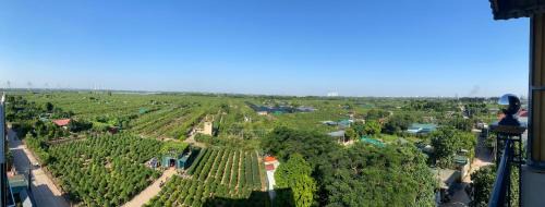 Nhat Tan Apartment | 26451 xxx