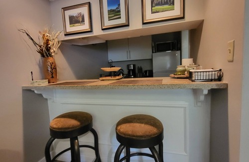 Palm Harbor Condo | 2762 Merion Innisbrook Condo Golf Resort