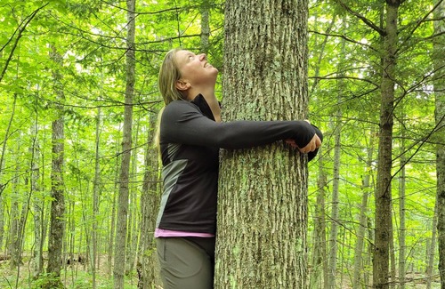 Bessemer Cabin | 28 Acres of Woods with EV Charging!