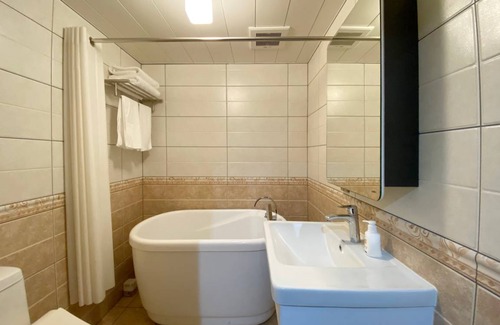 Shirogane Onsen Hotel | 28 m² Hotel ∙ 1 bedroom ∙ 2 guests