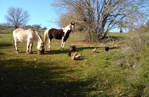 Orniac Hotel | 28 m² Hotel ∙ 1 bedroom ∙ 3 guests