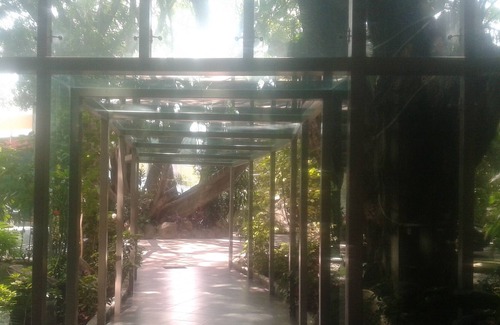 Jacarandas Apartment | 2b2b New Furnished Apartment Excelent Location In Cuernavaca